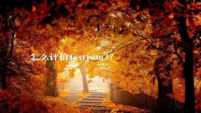 怎么评价fastjson2？